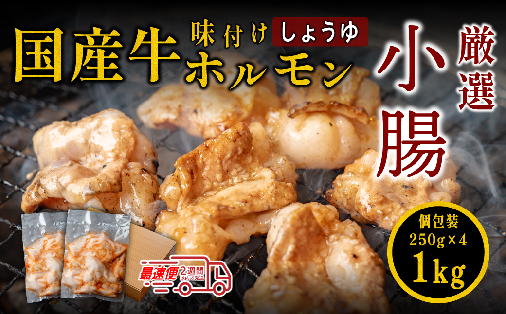 小腸セット　特製自家製しょうゆダレ漬け 250gx4袋 1kg