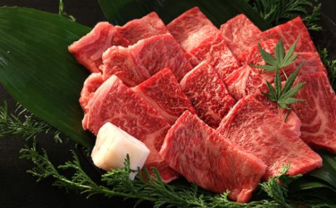 丹波篠山東門牛至宝の焼き肉セット（500g）