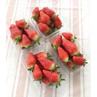 「内山いちごの国」のいちご4パック入り【配送不可地域：離島】