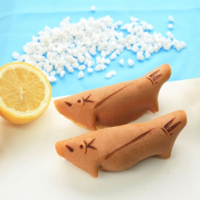 涼菓撰A　夏におすすめの爽やかスイーツギフト【配送不可地域：離島】