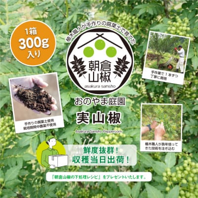 朝倉山椒の実山椒　300g×1【配送不可地域：離島・沖縄県】