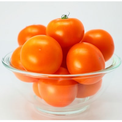 【こいとま】3種ミックス白箱