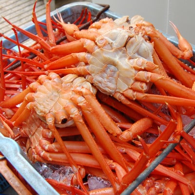 香住がに　おまかせセット　約2.5kg(3～6枚)【配送不可地域：離島】