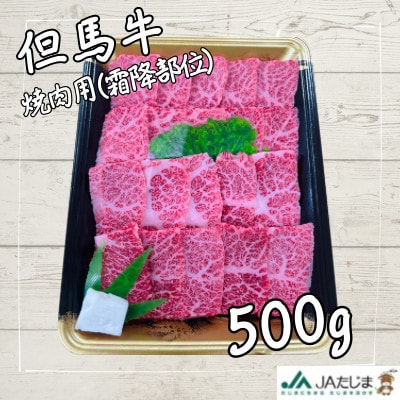 但馬牛　焼肉用(霜降り部位)500g【配送不可地域：離島】