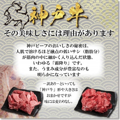 訳あり 神戸牛 切り落とし肉 400g×2 計800g YBS1-2 【2026年4月より順次発送】【配送不可地域：離島】