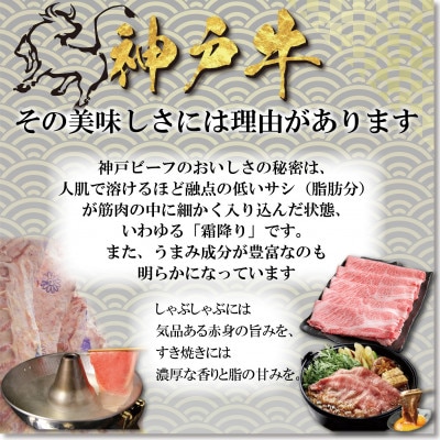 神戸牛 しゃぶしゃぶ・すき焼き用セット 計1Kg YBSS5 【2026年4月より順次発送】【配送不可地域：離島】