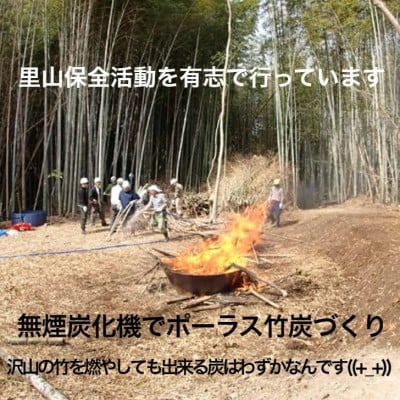 園芸用に ポーラス竹炭10リットル やわらかな多孔質の炭 竹炭の力