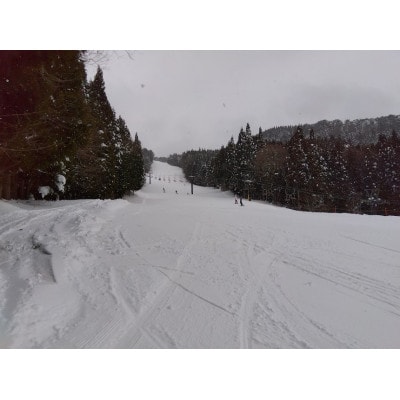 ハイパーボウル東鉢スキー場No.4★共通リフト券食事券付【大人1日券+食事券】