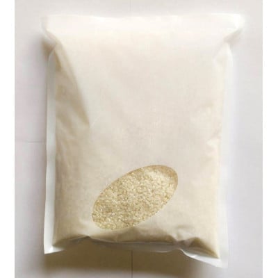 お試し!令和8年産＜先行受付＞9月より順次発送【蛇紋岩銀粒　彩りの舞】計600g(2合×2袋)