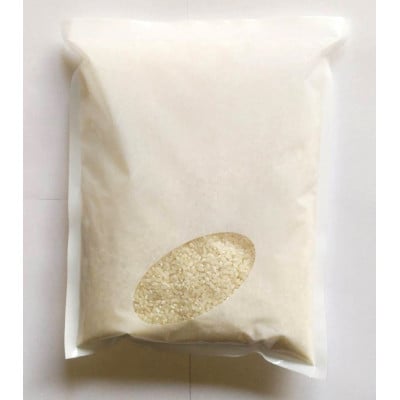 お試し!令和8年産＜先行受付＞9月より順次発送【蛇紋岩ブランド　華やか一膳】計600g(2合×2袋)