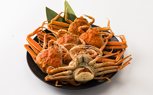 兵庫県香住産　釜茹でセコガニ6～10匹入り(約1.2kg)【11月中旬以降発送】【配送不可地域：離島・北海道・沖縄県・東北・関東・九州】