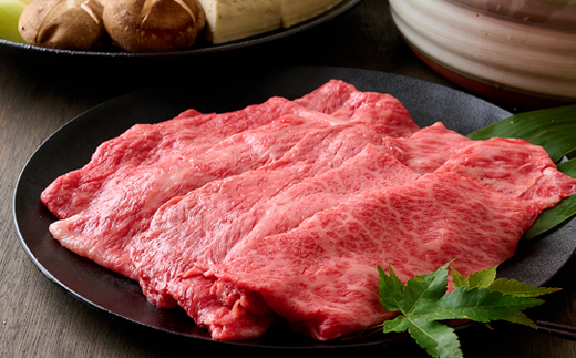 【神戸牛】しゃぶしゃぶ 赤身 ＆ 霜降り 特選 食べ比べセット 500g【配送不可地域：離島】