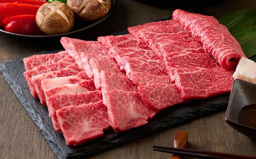 【但馬牛】焼肉 赤身＆霜降り 特選セット500g【配送不可地域：離島】