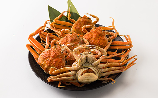 兵庫県香住産 釜茹でセコガニ6～10匹入(約1.2kg)＜冷凍発送＞【11月中旬以降発送】【配送不可地域：離島】