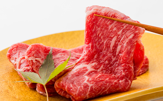 但馬牛すき焼き・しゃぶしゃぶセット 600g【配送不可地域：離島】