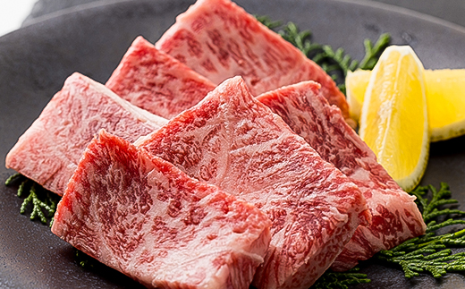 但馬牛焼肉セット 500g【配送不可地域：離島】