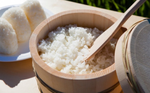 令和7年産新米・2025年9月以降発送【蛇紋岩ブランド　別格米6kg】