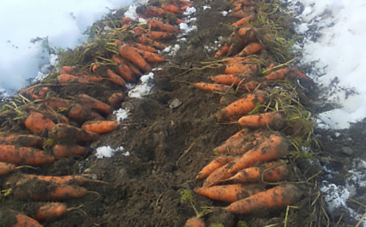 人参ジュース2本セット(養父市産有機人参使用)