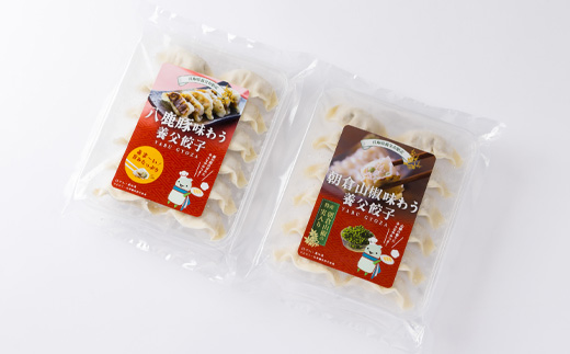 【特産品・八鹿豚×朝倉山椒がコラボ】養父餃子食べ比べセット(冷凍24個)/12個入り1パック×2【配送不可地域：離島】