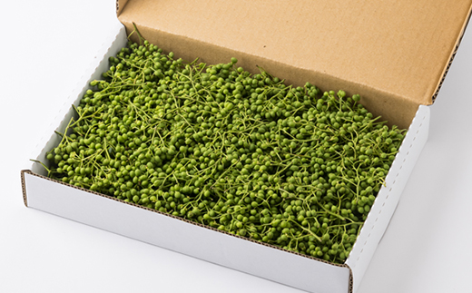 朝倉さんしょ　500g【配送不可地域：離島】