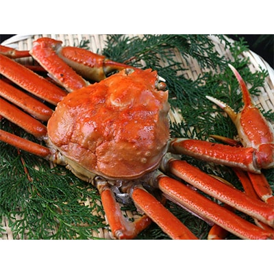 【発送月固定定期便】カニの定期便(竹)＜冷凍発送＞全3回【配送不可地域：離島】