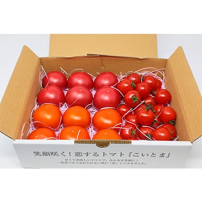 【毎月定期便】【こいとま】3種ミックス定期便〈ブロンズ〉コース全2回