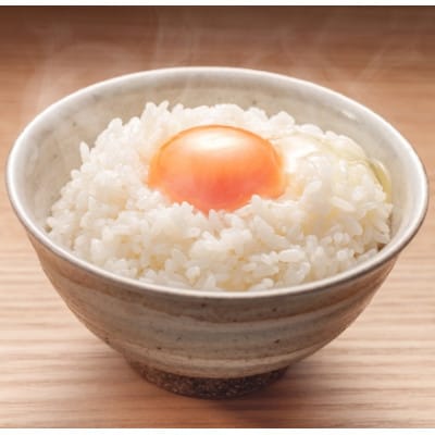 【発送月固定定期便】令和7年産新米 蛇紋岩ブランド 華やか一膳 20kg(5kg×4)全3回