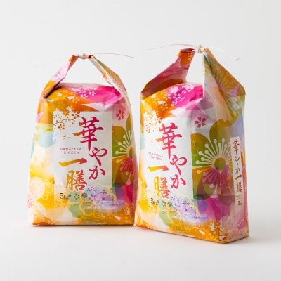 【毎月定期便】蛇紋岩ブランド 華やか一膳 10kg(5kg×2)全6回
