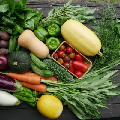 【発送月固定定期便】【6～12月】但馬の旬をお届け!採れたて野菜セット全7回【配送不可地域：離島】