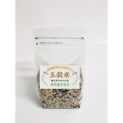 2023年7月発送開始『定期便』【定期便6ヶ月】養父市の稀少米蛇紋岩米10kg五穀米セット全6回