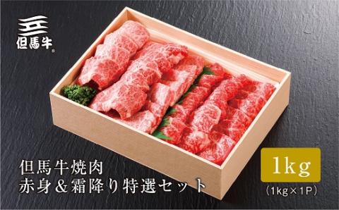 【但馬牛】 焼肉 赤身＆霜降り 特選セット1kg【配送不可地域：離島】