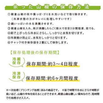 朝倉山椒　兵庫県養父市産　冷凍　500g【配送不可地域：離島】