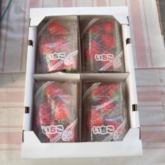 「内山いちごの国」のいちご4パック入り【配送不可地域：離島】