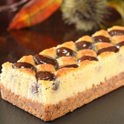 【銘菓撰B】こだわりの素材で作り上げる登録商標「鮎のささやき」と極上栗ケーキ「栗宝寿」の詰合せ