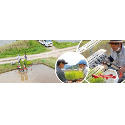 夫婦杉・自然米酒900ml×2本(贈答箱入)