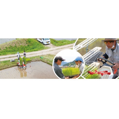 夫婦杉　自然米酒900ml×3本(贈答箱入)