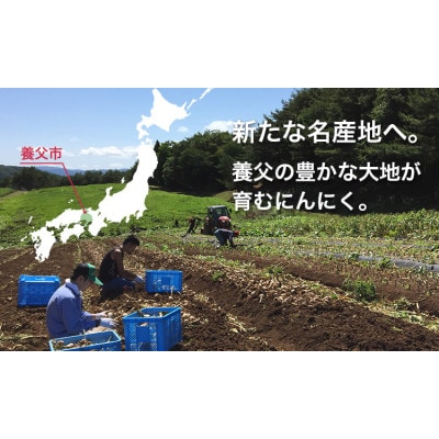 にんにくおかきアソート(4味×2袋)