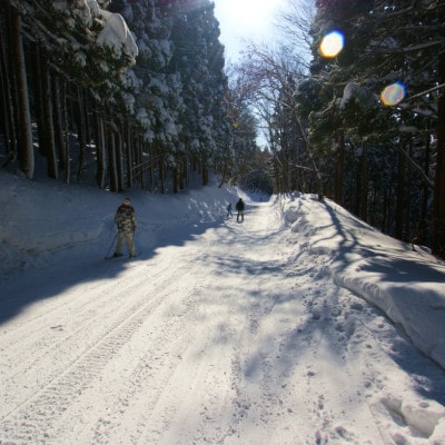 ハチ高原スキー場リフト1日券(シニア)1枚