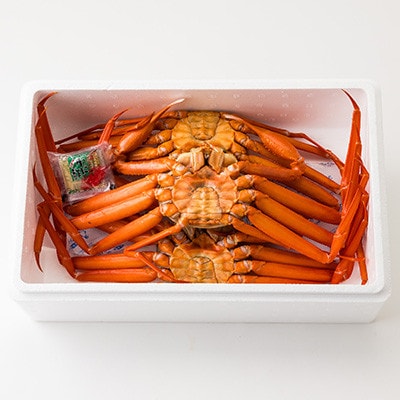 兵庫県香住産　釜茹で香住ガニ 2～3匹入り(約1.1～1.3kg)〈冷凍〉【9月中旬以降発送】【配送不可地域：離島】