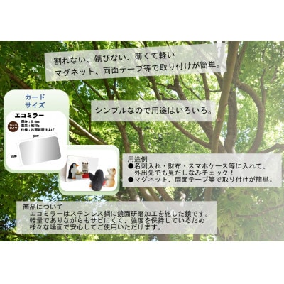 割れない鏡エコミラーやっぷ～(スノーボードバージョン)