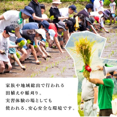 農業特区兵庫県養父市産こしひかり5kg