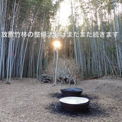 園芸用に ポーラス竹炭10リットル やわらかな多孔質の炭 竹炭の力