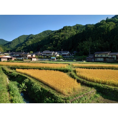 自家栽培・挽きたて小麦の天然酵母パンセット【配送不可地域：離島】