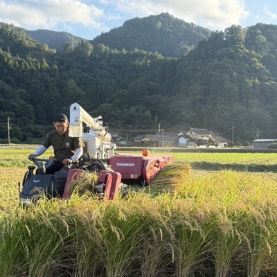 お試し!令和8年産＜先行受付＞9月より順次発送【蛇紋岩銀粒　彩りの舞】300g(2合×1袋)