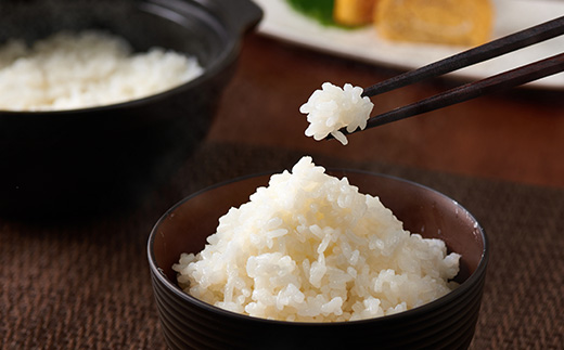 令和7年産養父市の希少米　蛇紋岩米　10kg　　　　　五穀米(蛇紋岩米使用)セット