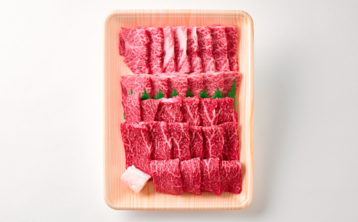 【但馬牛】焼肉 赤身＆霜降り 特選セット500g【配送不可地域：離島】