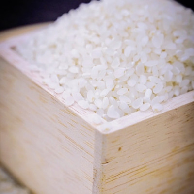 令和7年産新米・2025年9月以降発送【premium】星降る清流米　天-TEN-・凰-OU-