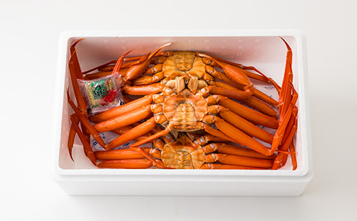 兵庫県香住産 釜茹で香住ガニ(紅ズワイガニ)2～3匹入り(約1.5～1.6kg)〈冷凍〉【9月発送】【配送不可地域：離島】