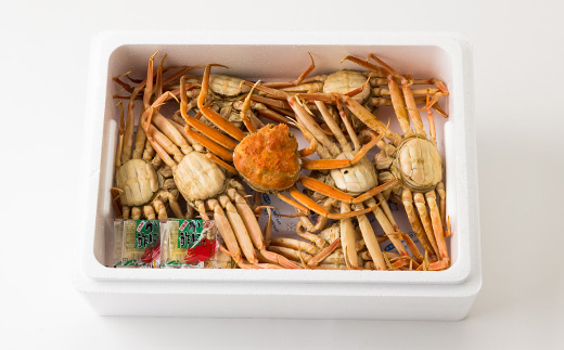 兵庫県香住産 釜茹でセコガニ6～10匹入(約1.2kg)＜冷凍発送＞【11月中旬以降発送】【配送不可地域：離島】