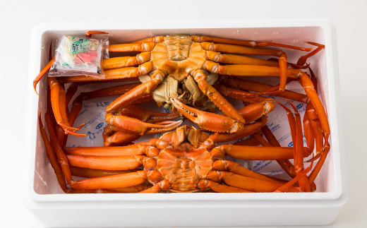 兵庫県香住産 釜茹で香住ガニ(紅ズワイガニ)3～4匹入(約2kg)〈冷凍発送〉【9月中旬以降発送】【配送不可地域：離島】